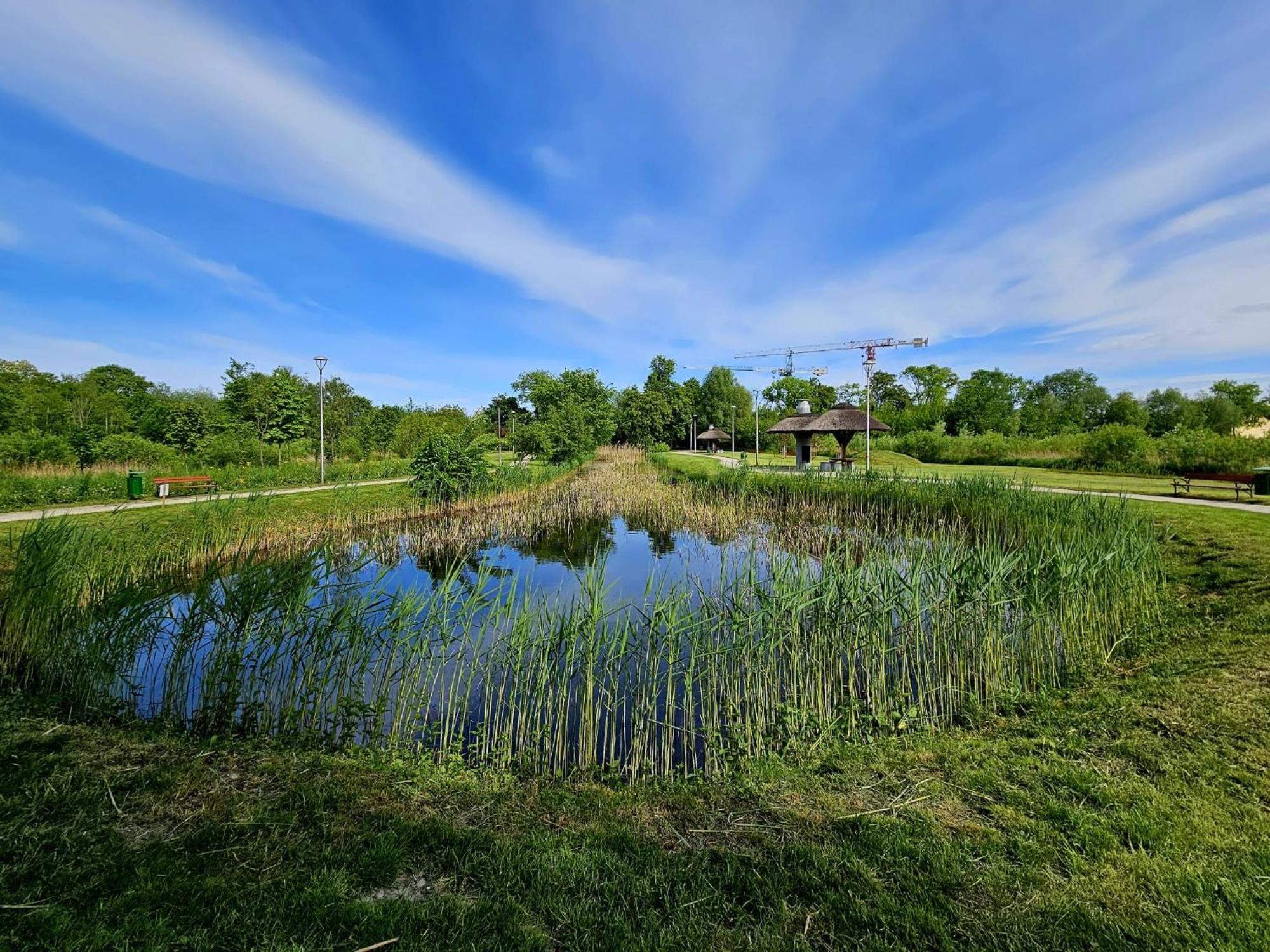 Countryside Studio Borzecin Duzy Экстерьер фото